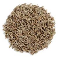 Manufacturers Exporters and Wholesale Suppliers of Cumin Seeds Unjha Gujarat